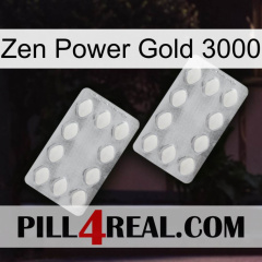 Zen Power Gold 3000 17